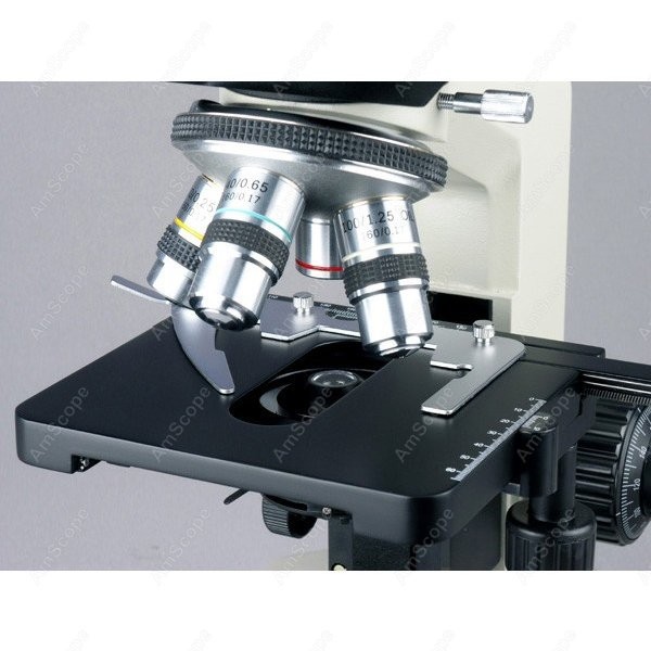 AmScope Biological Binocular C - Microscope Compound 40X review and price