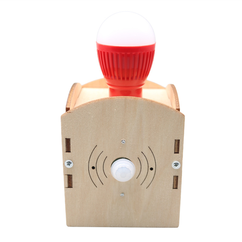 DIY Human-Sensing Night Light  - Science Nature review and price