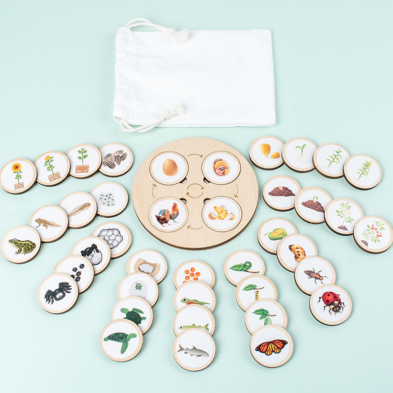 Life Cycle Board Montessori Ki - Science Nature review and price
