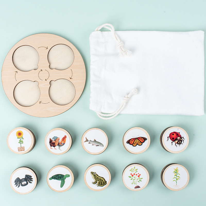 Life Cycle Board Montessori Ki - Science Nature review and price