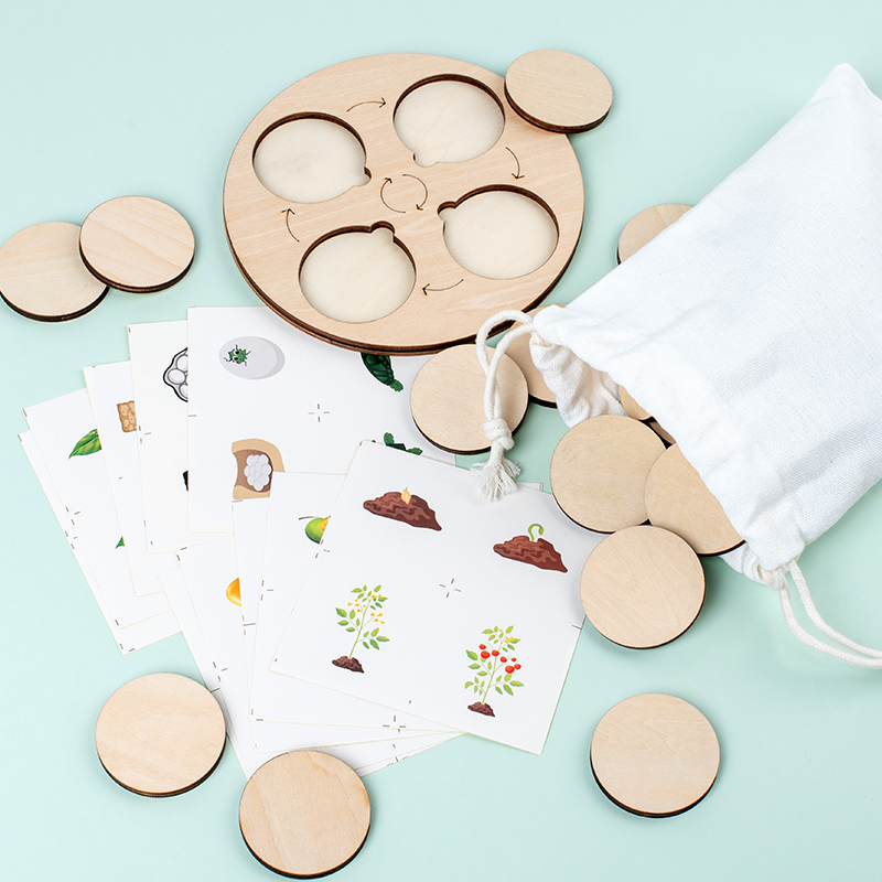 Life Cycle Board Montessori Ki - Science Nature review and price
